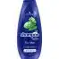 Schwarzkopf Shampoo For Men, 400 ml