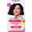 Palette Haarkleuring Perfect Gloss 3-0 Zwartbruin