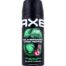 Axe Deodorant Spray Wild Bergamot & Pink Pepper, 150 ml